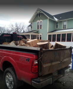 tree removal mulch firewood